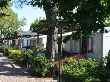 Glamping per 4 Persone in Bardolino, Prealpi Gardesane, Foto 1