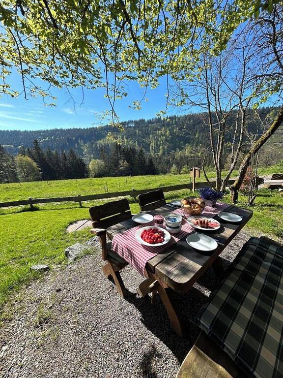 Vakantiewoning voor 4 personen, met tuin en uitzicht in Feldberg