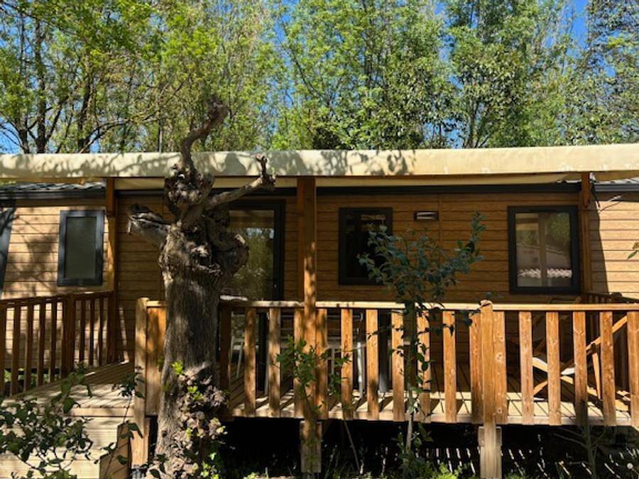 Camping Lodges & Nature - Safarizelt 6 personen - Safari Lodge in Avignon, Vaucluse