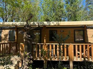 Camping für 6 Personen in Avignon, Provence, Bild 1