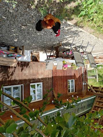 Ferienwohnung für 4 Personen in Böllen, Hochschwarzwald, Bild 2