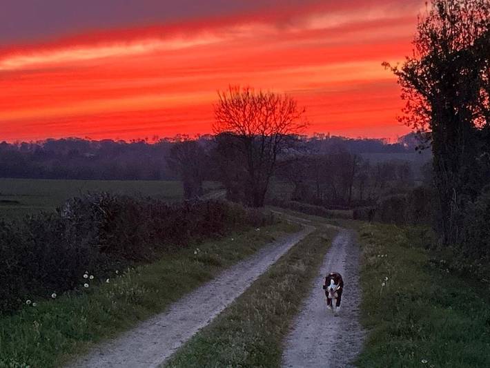 Location de vacances pour 4 personnes, avec jardin à Foussais-Payré