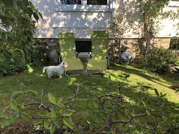 Ganze Ferienwohnung, Ferienwohnung Grüne Oase in Bad Nenndorf, Landkreis Schaumburg