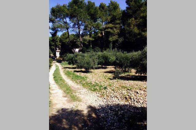 Location de vacances pour 6 personnes, avec piscine ainsi que jardin et vue à Cheval-Blanc - 3