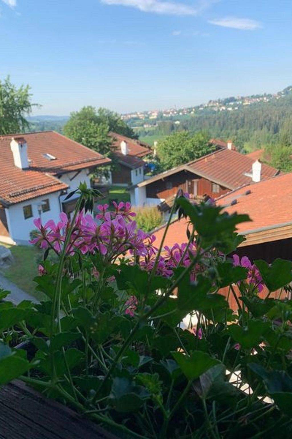 Ganze Wohnung, Appartement in Raßreuth mit gemeinsamem Pool in Hauzenberg, Passauer Land
