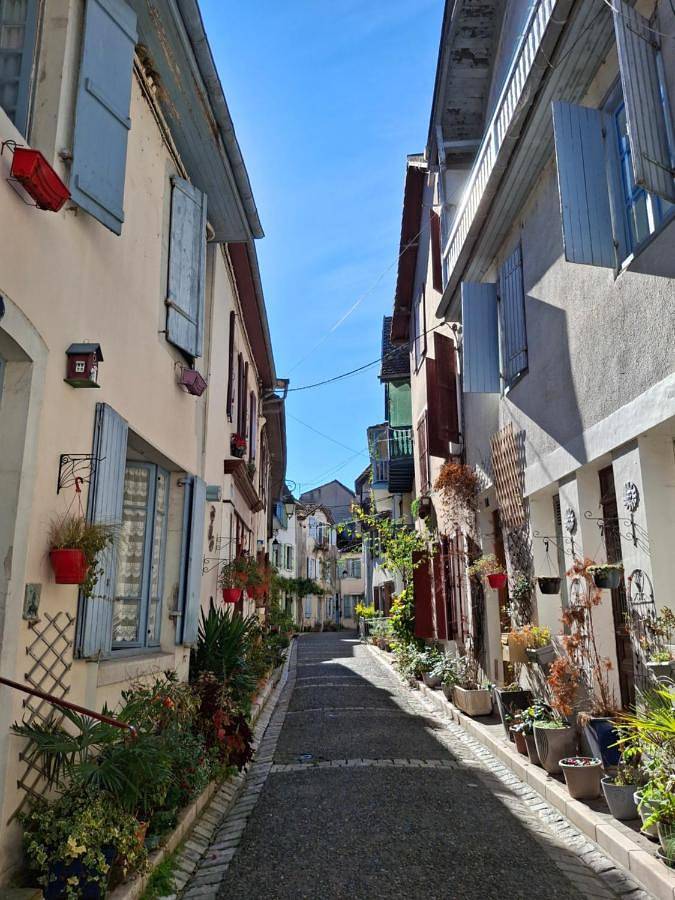 Chambre d’hôte pour 2 personnes, avec terrasse à Salies-de-Béarn - 4