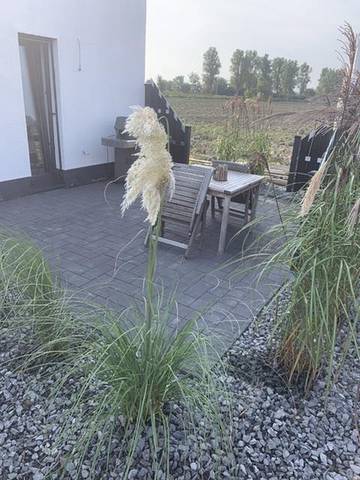 Ferienwohnung für 4 Personen in Krummhörn, Landkreis Aurich, Bild 1