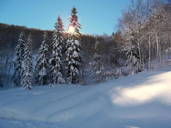 Apartamento de vacaciones para 4 personas, con vistas y balcón - 1