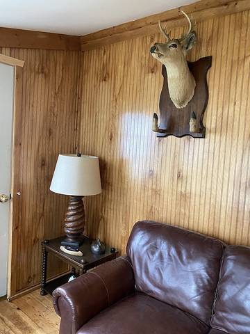 Cabin for 6 Guests in Sanilac County, Picture 4