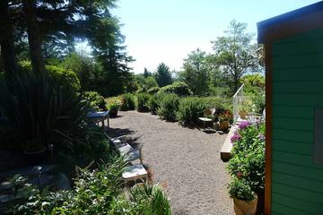 Cottage for 3 Guests in Lane County, Picture 1