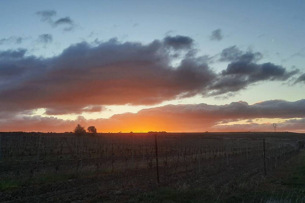 Mas authentique avec piscine au milieu des vignes entre mer et montagne in Magalas, Région de Béziers