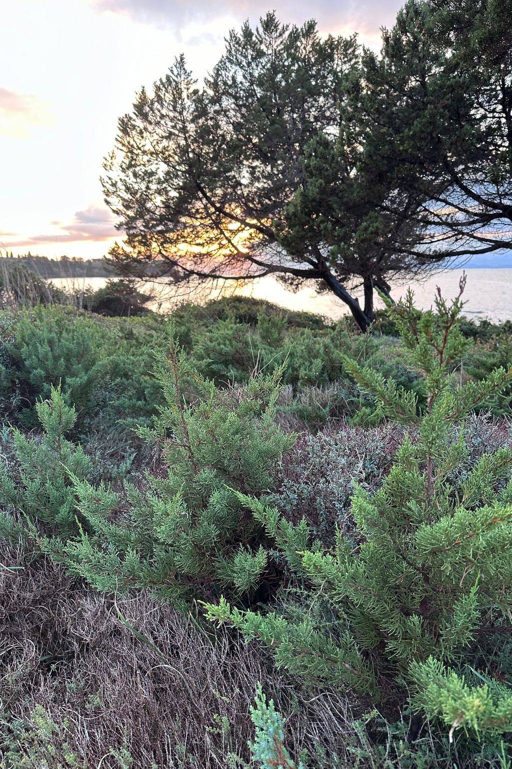 Genari Beach Atemberaubender Aufenthalt mit Meerblick, foto 7