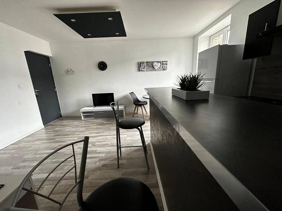 Appartement entier, One-Bedroom Apartment in Thierville-sur-Meuse, Verdun