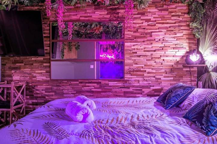 Apartamento entero, Suite Jungle & Spa - Romantic escape in La Flèche, Sarthe