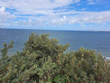 Ferieudlejning til 6 Personer i Humlum, Struer, Billede 4