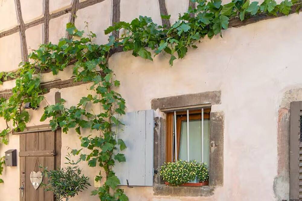 Chez Nony, 90m2 house on the Route des Vins in Bœrsch, Bas-Rhin Alsacia