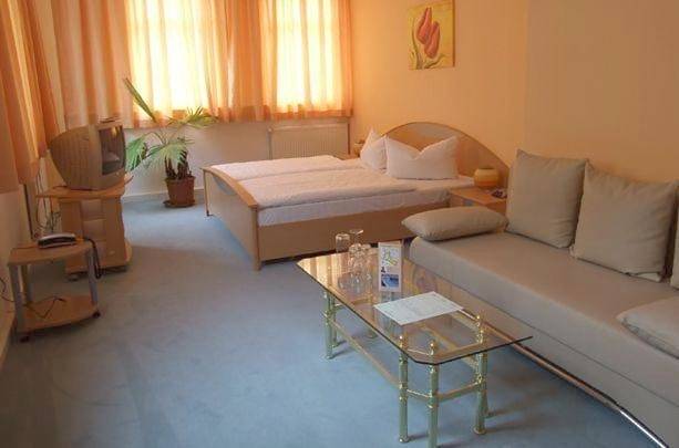 Hotel für 10 Personen, mit Terrasse und Sauna in Köpenick Berlin - 3