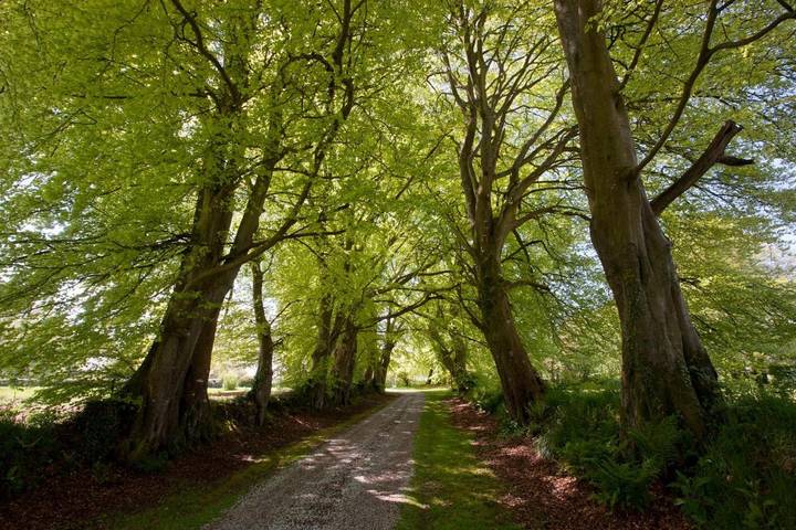 Location de vacances pour 2 personnes, avec jardin ainsi que vue et terrasse à La Glacerie - 2