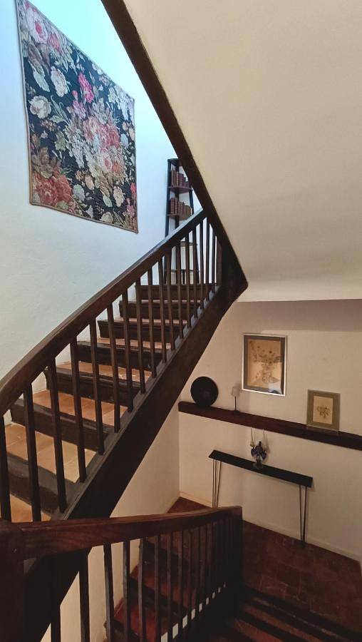 Chambre d’hôte pour 6 personnes, avec vue et jardin à Pexiora - 4