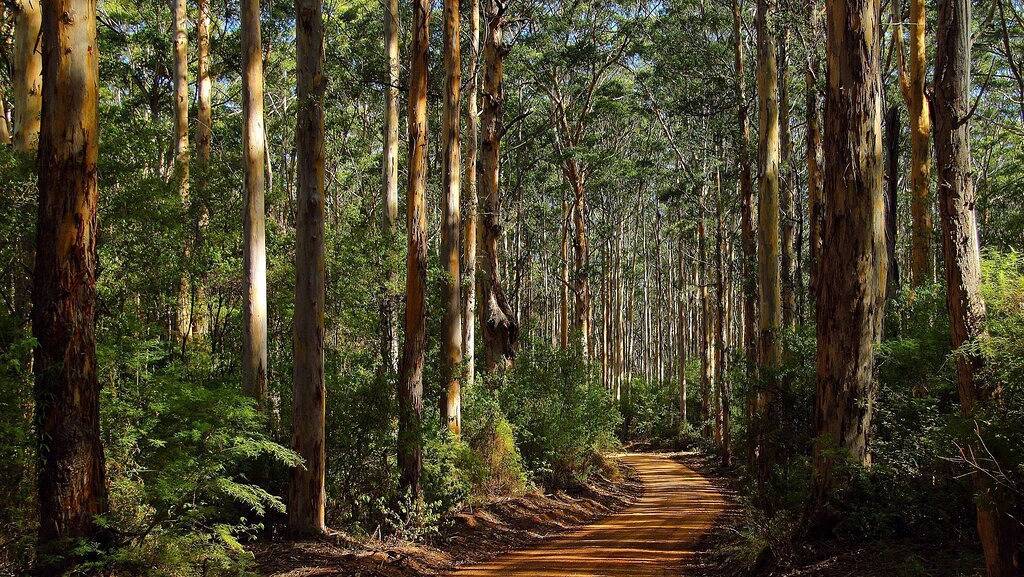 Holiday Home for 6 People in Margaret River, Western Australia
