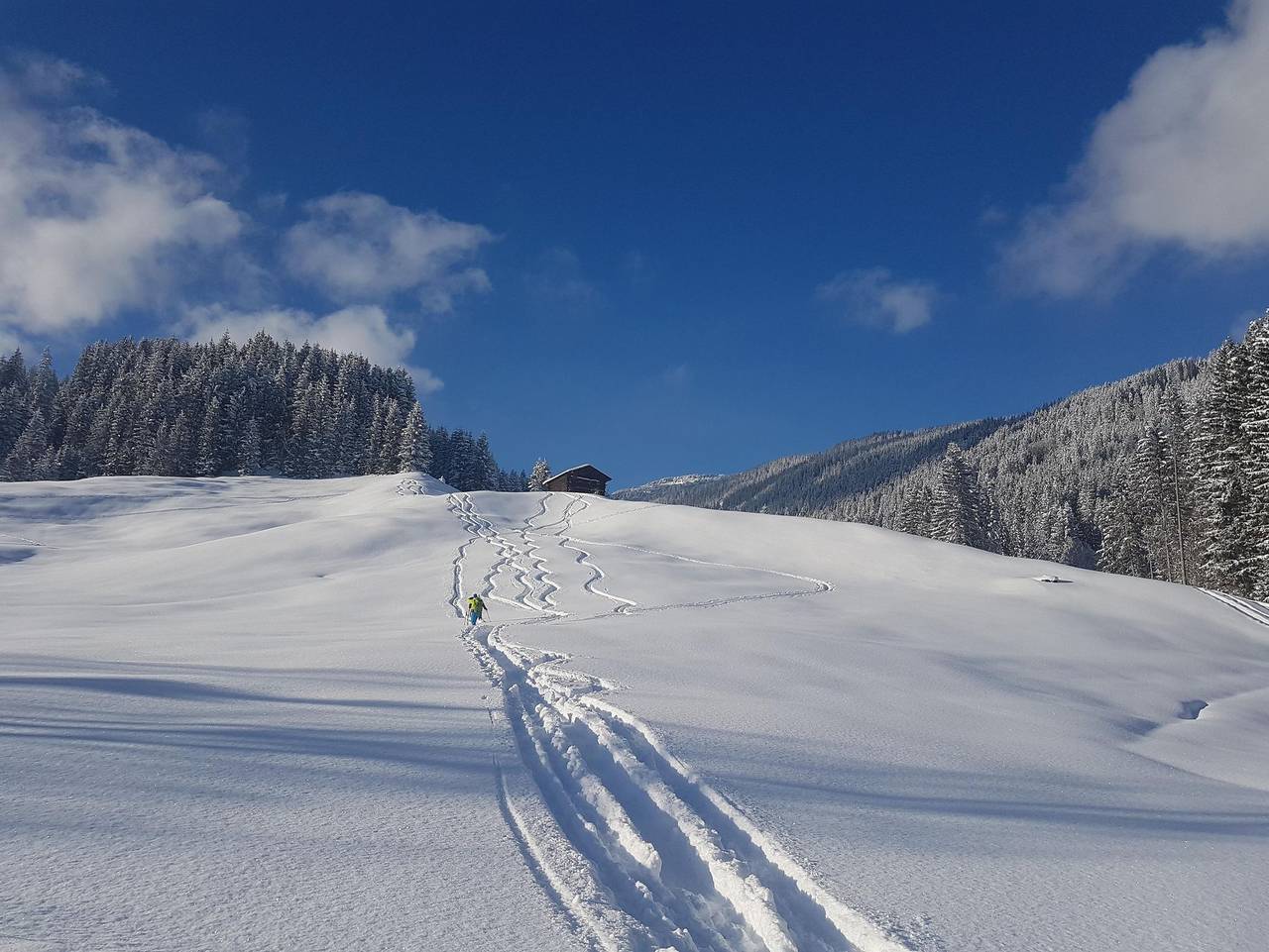Ganze Ferienwohnung, Gästehaus Fuchsegge - Familie Müller - Walmendingerhorn Nr. 1 - 2 Schlafräume in Riezlern, Mittelberg