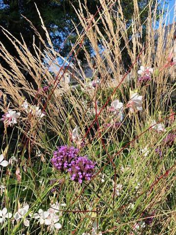 Gîte pour 2 personnes, avec vue et jardin, animaux acceptés à Tramain - 2