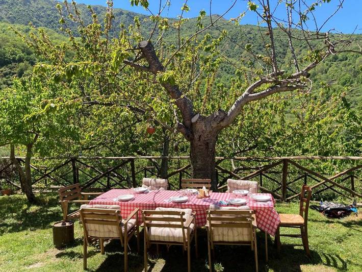 Agriturismo per 4 persone, con terrazza e panorama, con animali domestici in Provincia di Messina