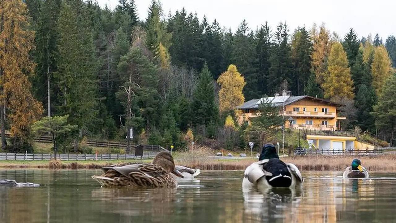 Appartement de vacances entier, Ferienwohnung für 2 Personen (36 m²) in Seefeld in Tirol in Seefeld in Tirol, District d'Innsbruck-Land