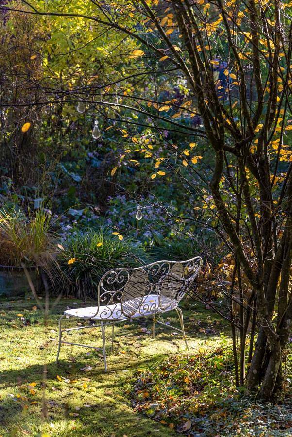 Gîte pour 3 personnes, avec jardin ainsi que vue et terrasse à Plaine (Bas-Rhin) - 2