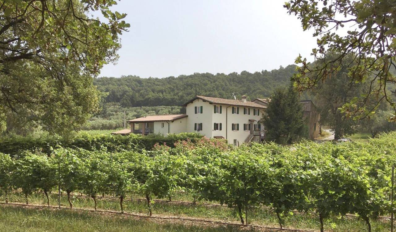Agriturismo Ca' Castellani in Bardolino, Garda Bergen