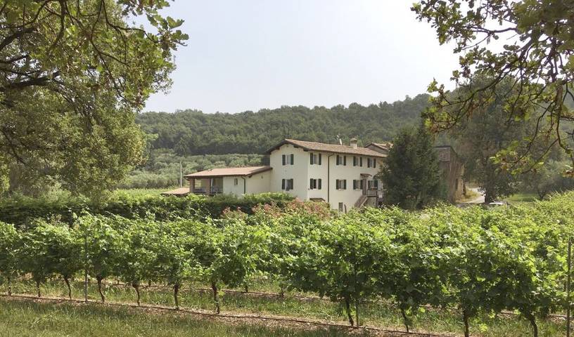 Agriturismo per 3 persone, con Terrazza e Giardino nonché Piscina e Panorama a Bardolino