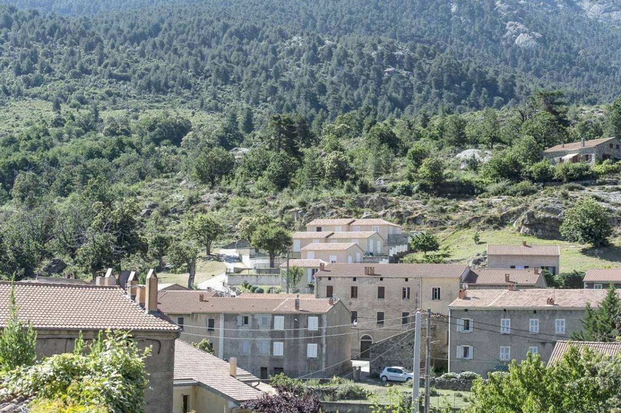Terrasse de Malbeccu in Casamaccioli, Parc naturel régional de Corse