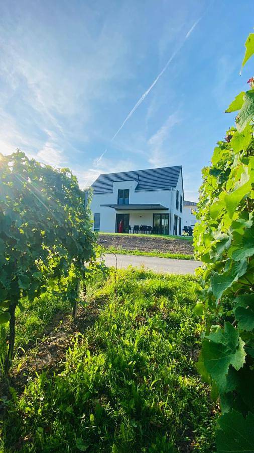 Ferienhaus für 6 Personen, mit Terrasse und Garten sowie Ausblick in Ellenz-Poltersdorf