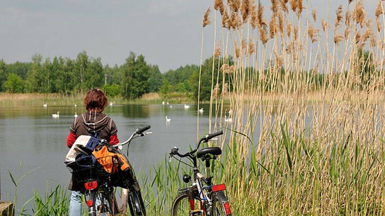 Ferienhaus für 4 Personen (38 m²) in Neukalen in Neukalen, Kummerower See