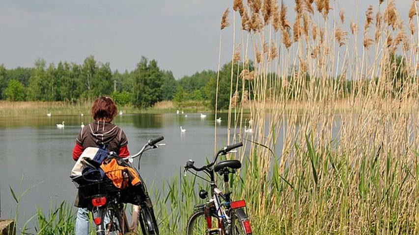 Ferienhaus für 4 Personen, mit Garten, mit Haustier in Neukalen - 4