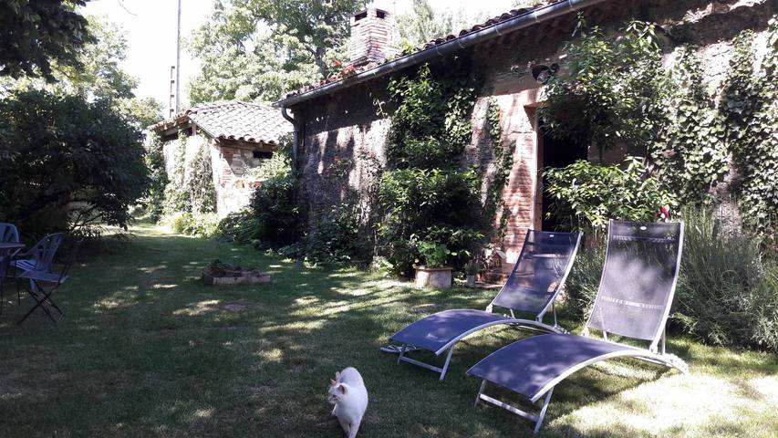 Gîte pour 4 personnes, avec jardin ainsi que piscine et terrasse dans le Tarn - 4