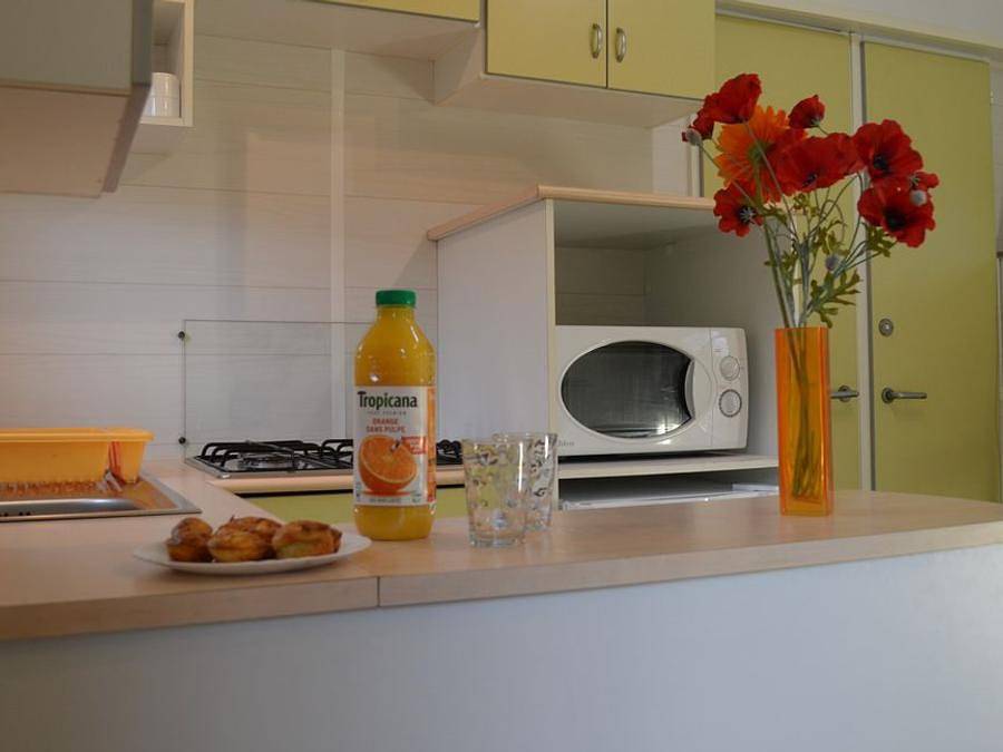 Flower Camping L'Echo du Malpas - Mobilheim 6 personen - Standard - 2 Schlafzimmer - Tv in Monceaux-sur-Dordogne, Tulle und Umgebung