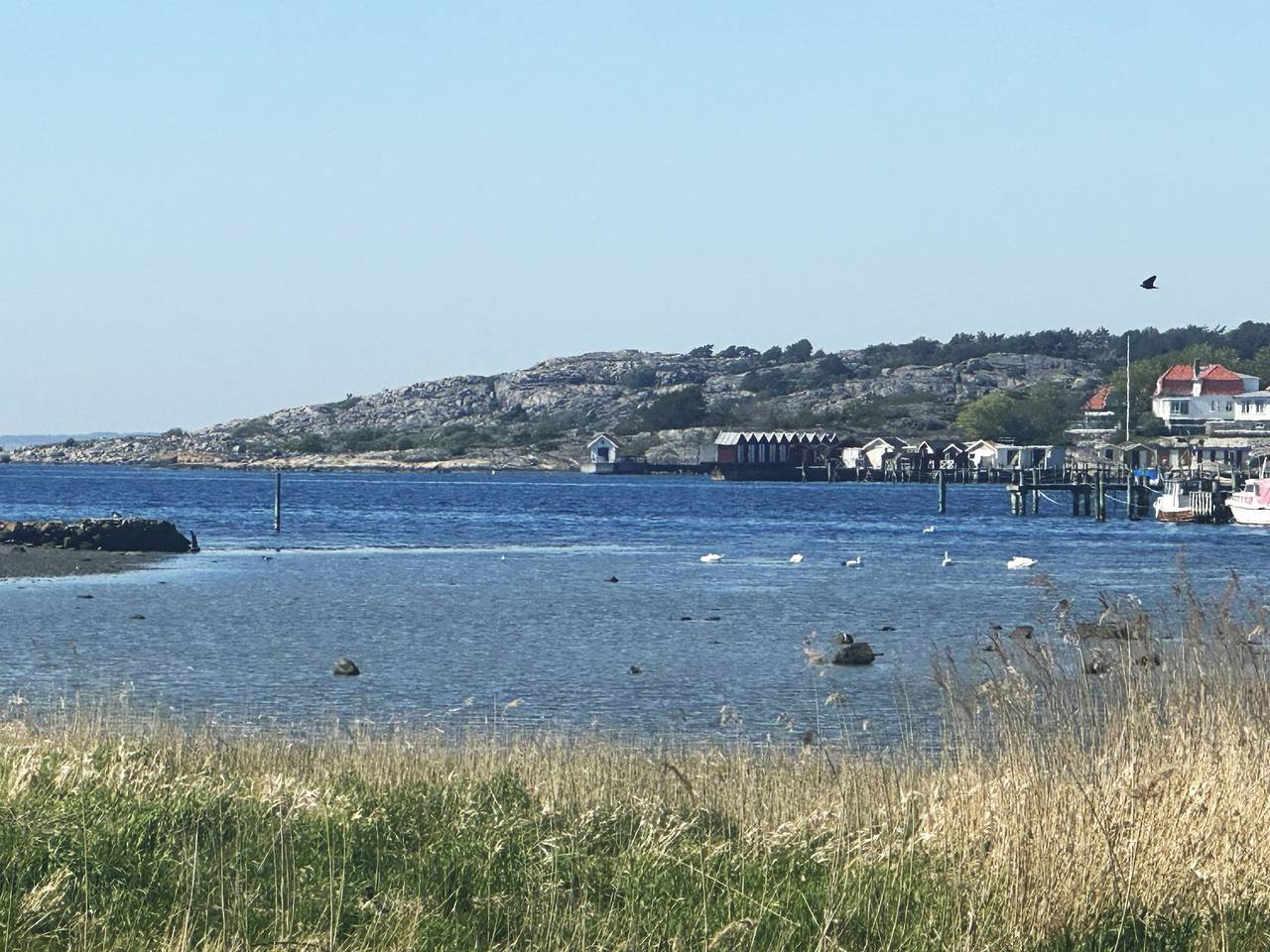 Ganze Wohnung, Se02070 in Kungsbacka, Halland