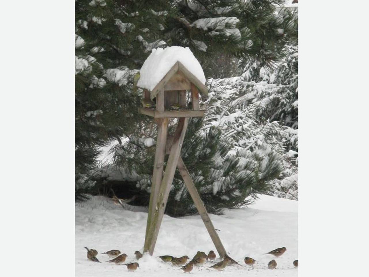 Ganze Ferienwohnung, Haus Gasterbauer - Ferienwohnung Bauernstube in Salzkammergut-Berge, Mondsee (Stadt)