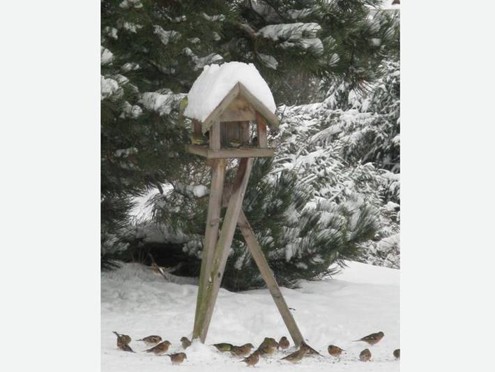Ferienwohnung für 2 Personen, mit Ausblick und Seeblick sowie Garten in Mondsee (Stadt)