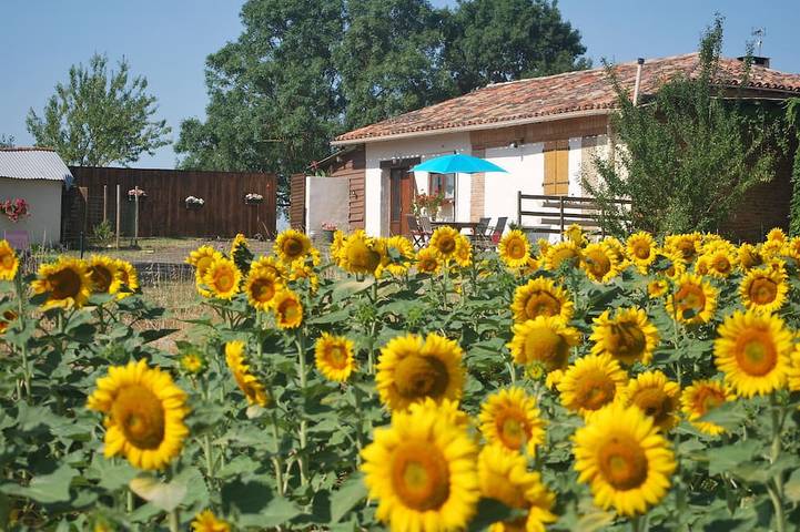 Location de vacances pour 4 personnes, avec jardin, animaux acceptés dans le Tarn-et-Garonne