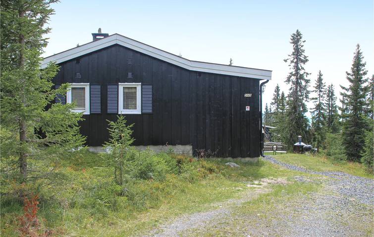 Location de vacances pour 6 personnes, avec jardin et terrasse dans Sjusjoen - 2