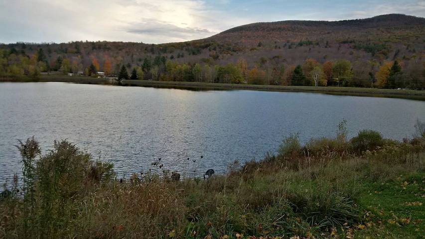 Log cabin for 18 people, with balcony and hot tub as well as sauna, with pets in Catskill Mountains