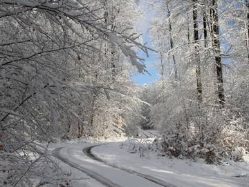 Ferienwohnung für 4 Personen in Lindenfels, Bergstraße, Bild 3