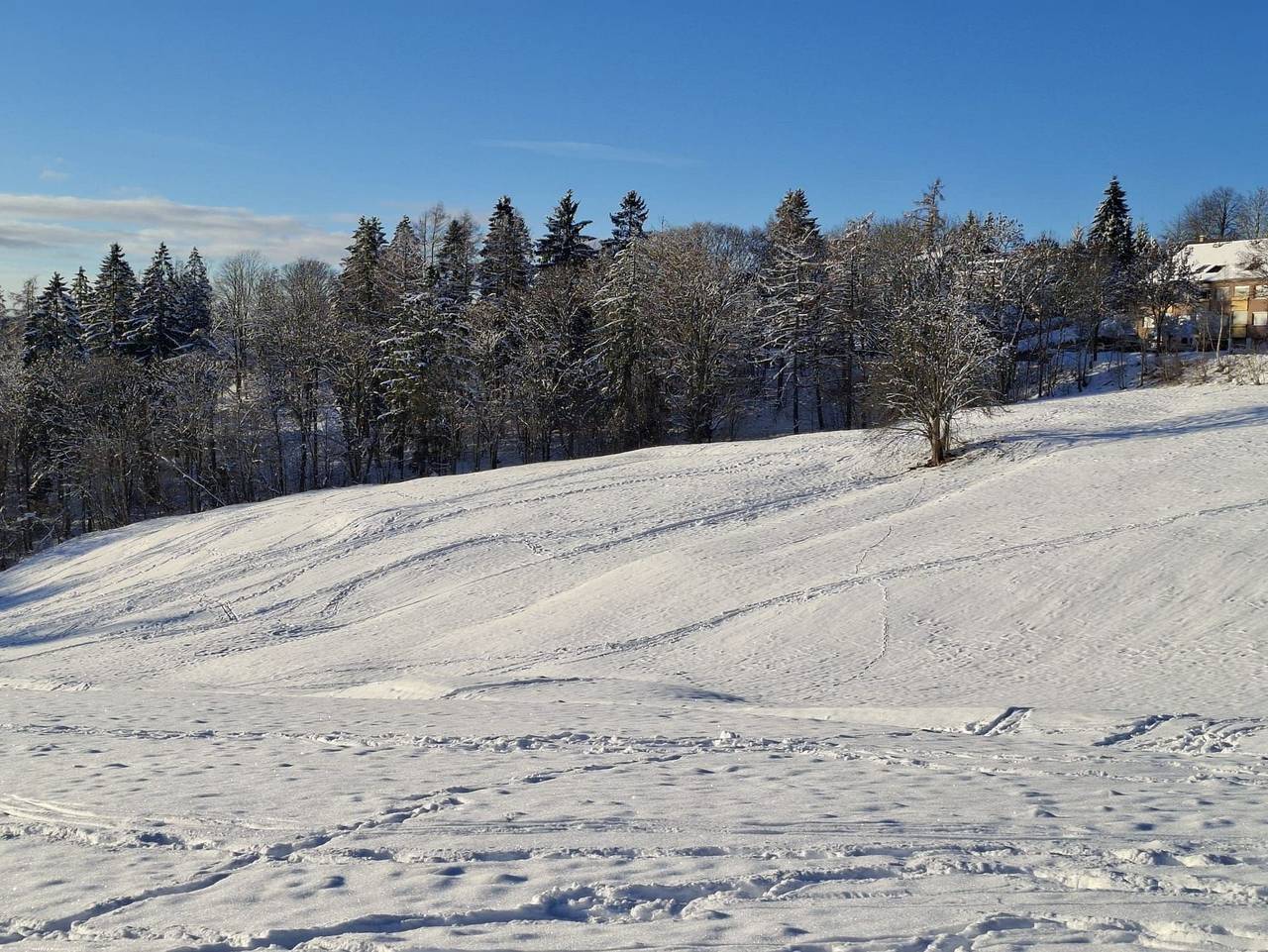 Ganze Ferienwohnung, Fewo Harzer Wiesenblick in Hohegeiß, Sauna, bis 2 Hunde wil - Fewo Harzer Wiesenblick in Hohegeiß, Harzvorland