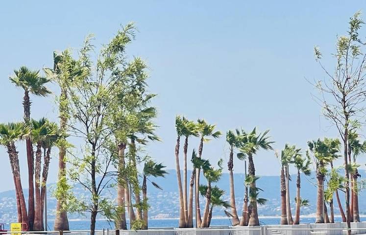 Gîte pour 2 personnes, avec vue et terrasse dans Plage Beau Rivage Saint Raphael - 3