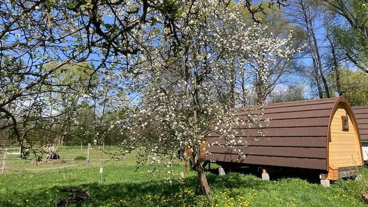 Ferienhaus für 3 Personen (18 m²) in Fürstenfeld in Fürstenfeld, Steirerland
