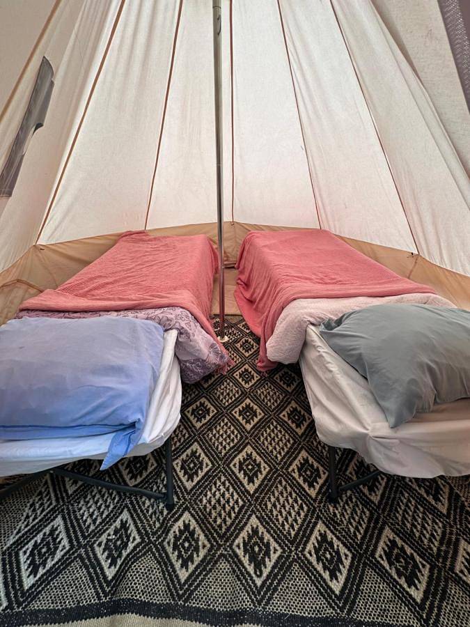 Camping pour 4 personnes, avec jardin et vue, animaux acceptés dans le Tarn - 4