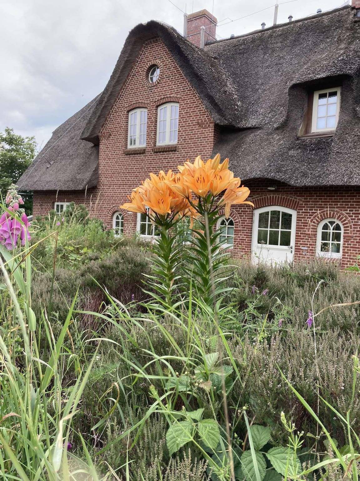 Ferienhaus Mia Villa in Wenningstedt, Sylt