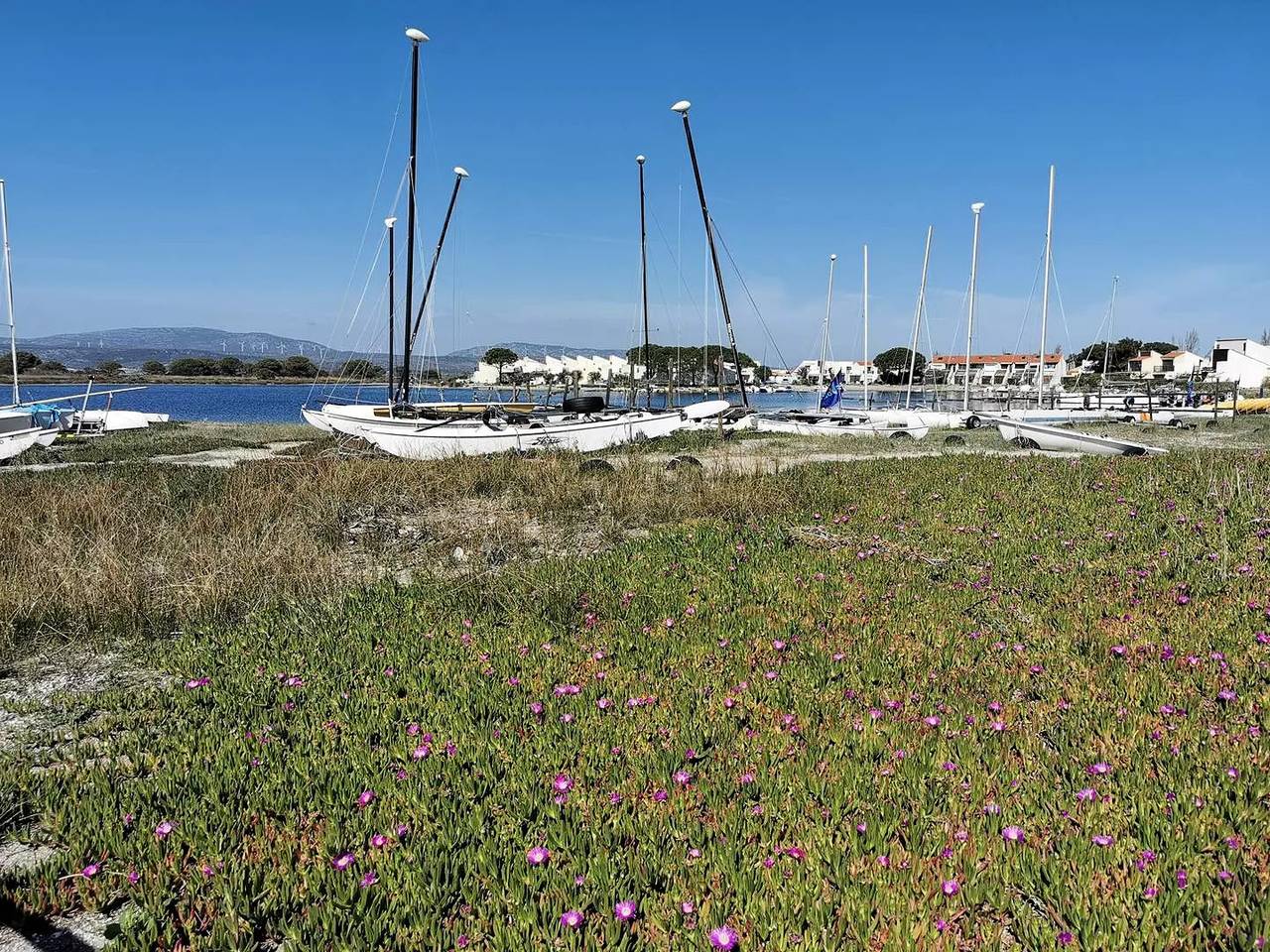 Villa T2 Mezanine 6 Übernachtungen Port Leucate in Port Leucate, Leucate